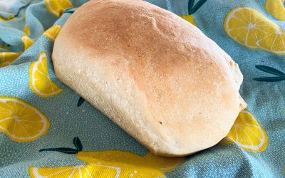 Basic Bread