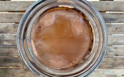 Kombucha